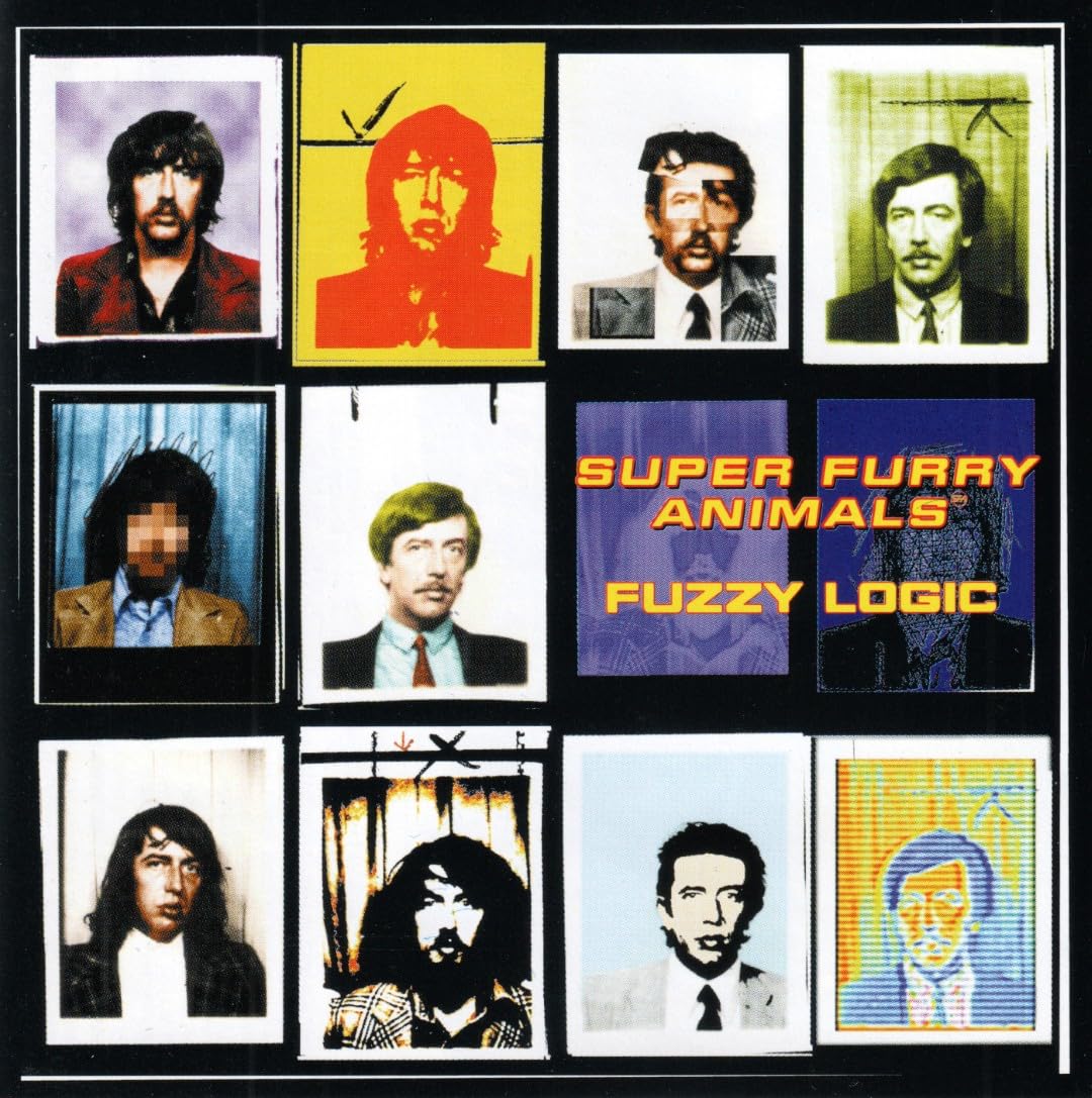 洋楽 Super Furry Animals/Fuzzy logic LP Fuzzy Logic: Amazon.co.uk: CDs & Vinyl
